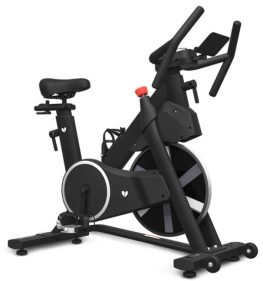 Lifespan SM-420 Spin Bike *ARRIVING SOON*